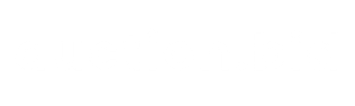auction.bid